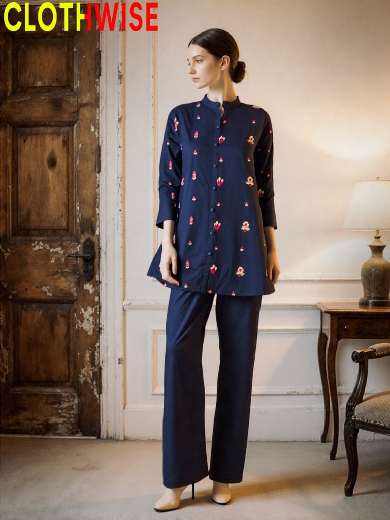 Dhanak embroidered co-ord 2-piece set for women and girls ready to wear